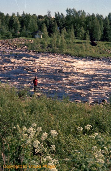 Motorradreisen Nordkap - Bild 18