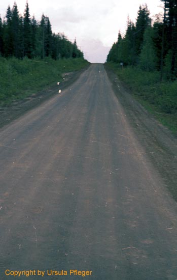 Motorradreisen Nordkap - Bild 22