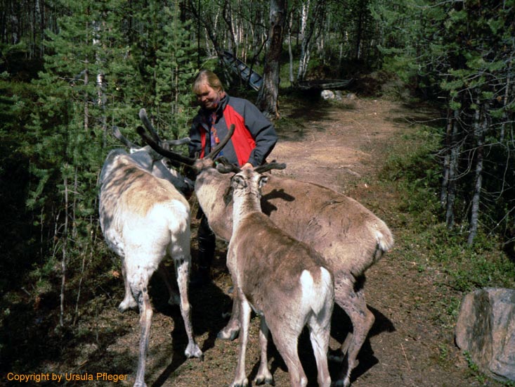 Motorradreisen Nordkap - Bild 31