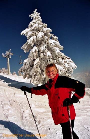 Skitour 003 Reutte Gipfel 29.01.2005   Bild 03