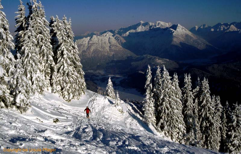 Skitour 004 Reutte Gipfel 29.01.2005   Bild 01