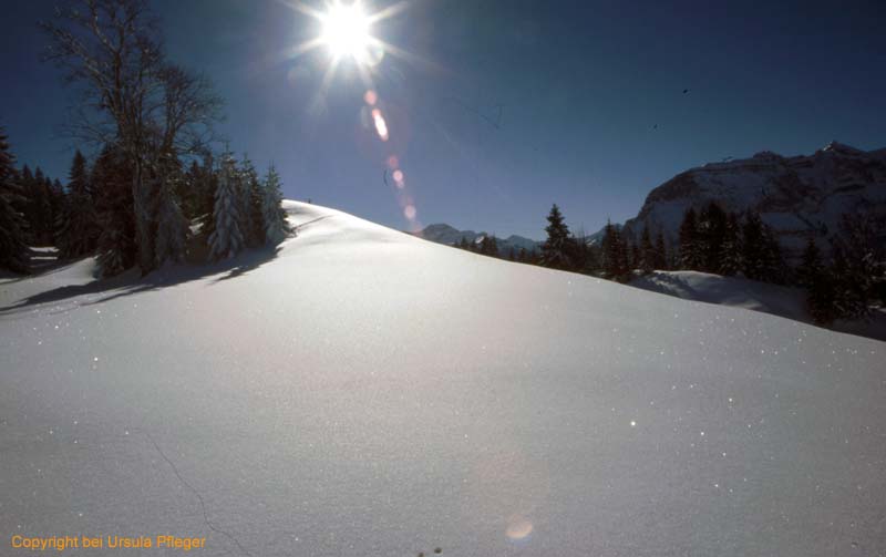 Skitour 005 Hirschberg 05.02.2005   Bild 03