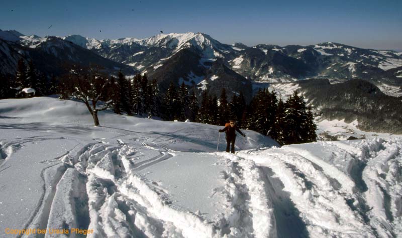 Skitour 005 Hirschberg 05.02.2005   Bild 04