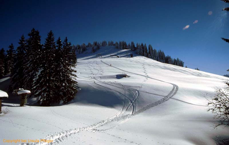 Skitour 005 Hirschberg 05.02.2005   Bild 08