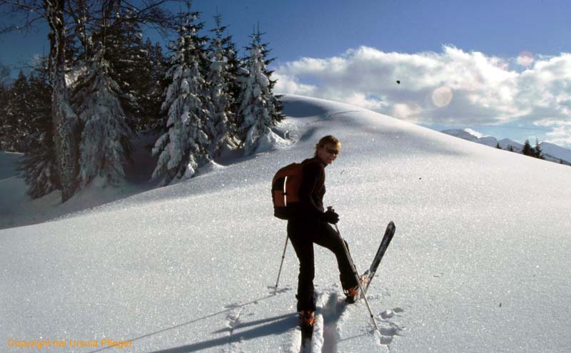 Skitour 006 Hirschberg 06.02.2005   Bild 04